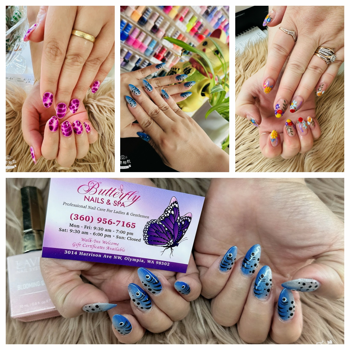 Signature nail design - Butterfly nails & spa in Olympia, Washington 98502